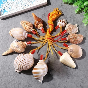 Shell Horn Musical Toy