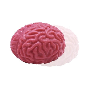 Brain Squeeze Toy
