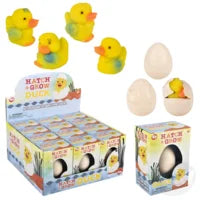Hatch And Grow Duck Egg