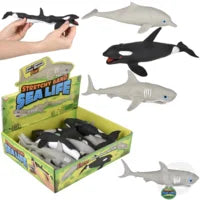 Stretch Sand Sea Life