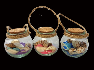 Small Jar Coloful Shells