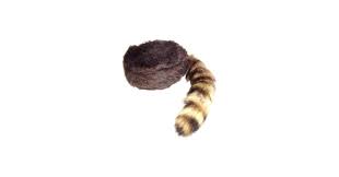 Tiger Skin Cap with Tail