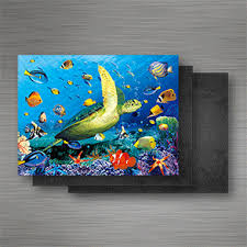 Glass Fish Magnets
